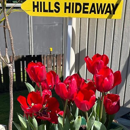 Hôtel Hill'S Hideaway à Dargaville Extérieur photo